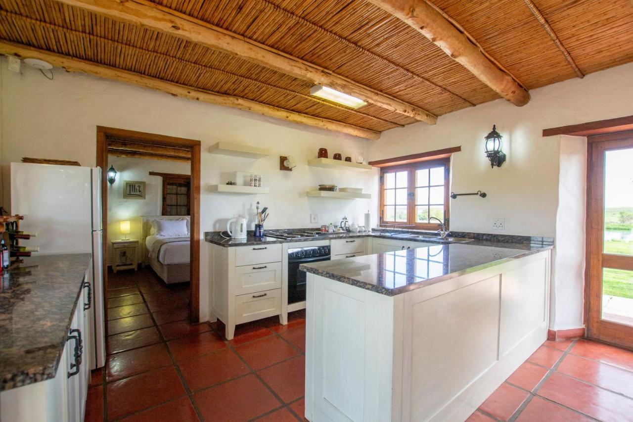 Denneboom Vineyards And Wildlife Apartment Paarl Ngoại thất bức ảnh