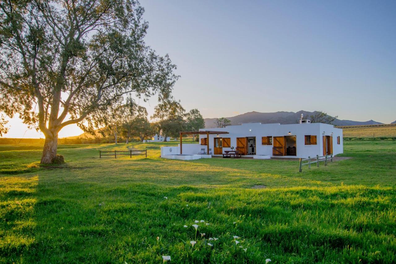 Denneboom Vineyards And Wildlife Apartment Paarl Ngoại thất bức ảnh