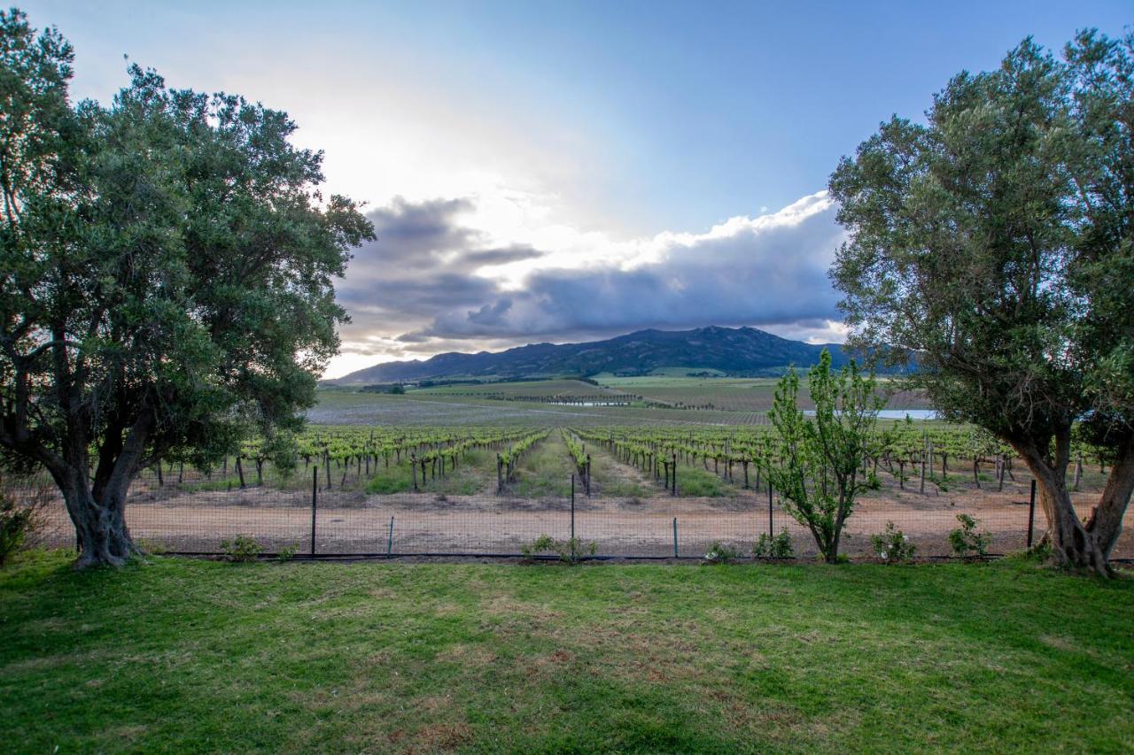 Denneboom Vineyards And Wildlife Apartment Paarl Ngoại thất bức ảnh