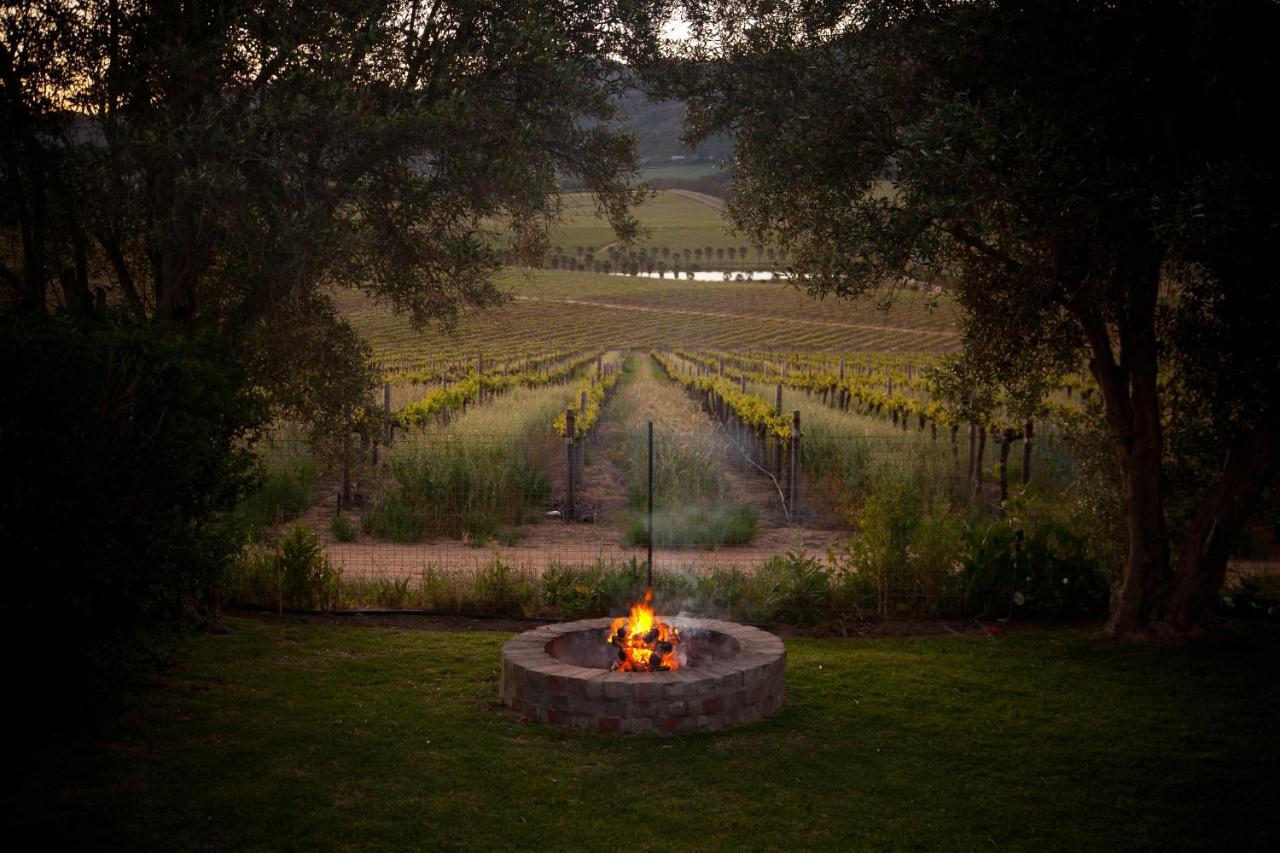 Denneboom Vineyards And Wildlife Apartment Paarl Ngoại thất bức ảnh